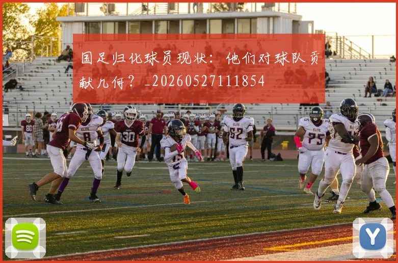 国足归化球员现状：他们对球队贡献几何？_20260527111854