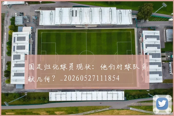 国足归化球员现状：他们对球队贡献几何？_20260527111854